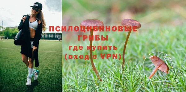 трава Кулебаки