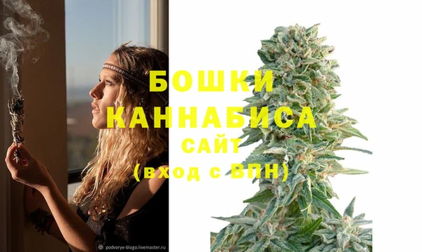 трава Кулебаки